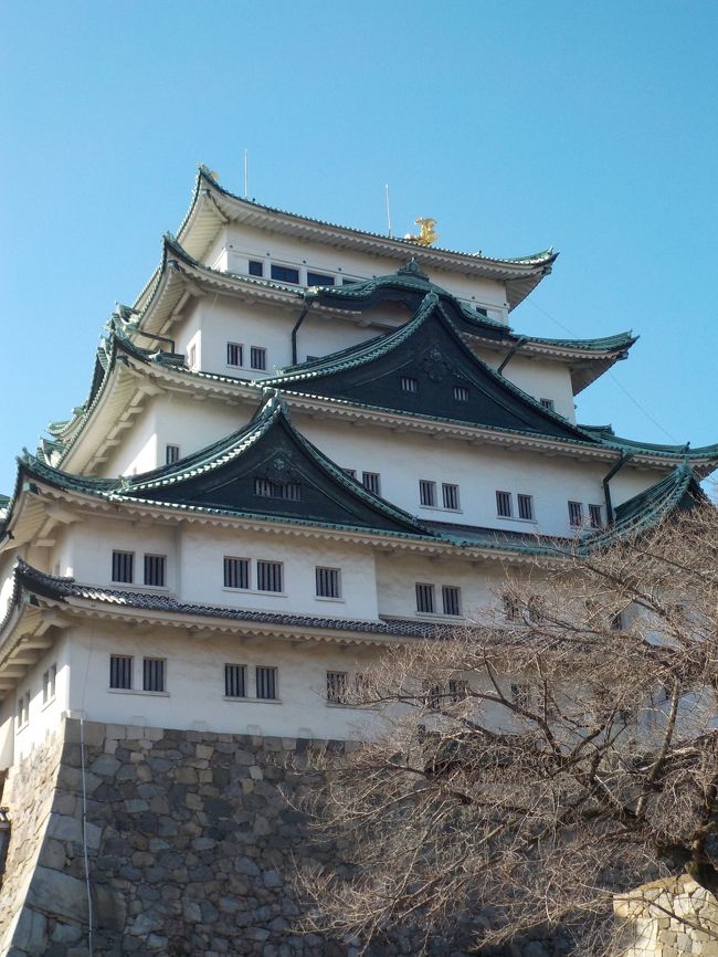 2月は受験シーズン。長男の中学も受検期間で、部活が一週間近く休みでした。<br /> 最近は、次男坊と2人で歴史旅に行くことが多かったのですが、今回は長男との2人旅。<br />本人の希望で、名古屋観光に行って来ました。5月からは入城できなくなる話もあるし、東京からそんなに遠くないですしね。<br /> 観光と言っても、我が家の興味は歴史に関するもの、それもメインは戦国時代。<br />名古屋城に熱田神宮、犬山城、清洲城を巡ってきました。<br /><br />