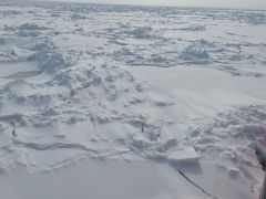 流氷と雪まつりを見てきました