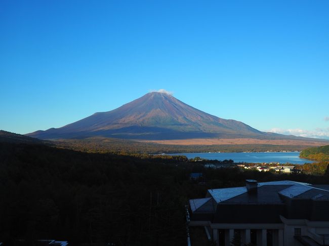 ２０１７年１０月３０日、朝食は花木鳥でいただきます。この時期は、ブッフェはお休みでした。まあ、朝から大食いしても仕方ないです。なんとなく、こじんまりした量でしたね。昨晩が凄すぎたせいか。息子は昨日の大食いで、朝食はあまり食べませんでした。