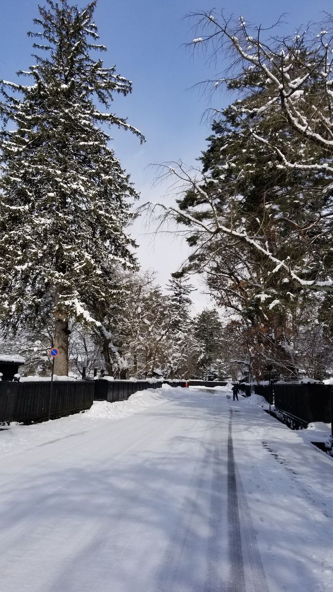 一泊二日でドライブ友達と乳頭温泉&角館に行ってきました。元々は雪道をお友達のWRカーで走って、ついでに雪見風呂も楽しんで来ようという企画だったんですが、いつの間にか冬の乳頭温泉・鶴の湯に行こうということになり、たまたまネットで探したところ、JRの「地温泉」という格安ツアーがあったためサクッと決めました。東京―田沢湖間を新幹線で往復するだけで一人30,000円を越えるのに、なぜか新幹線往復に鶴の湯温泉一泊二食を付けて一人29,500円! こんなツアーがあるなんて! 温泉も宿も食事も最高でした。天気も基本雪だったんですが、要所では晴れたり、星空が見えたり、雪が降って欲しいシチュエーションでは雪が降り、色んな乳頭温泉を楽しめました。2日間でしたが、とても内容の濃い旅ができ、大満足でした。<br /><br />1日目 早朝のこまちで田沢湖へ。昼前に蟹場温泉到着。蟹場、孫六、大釜、妙乃湯、休暇村を徒歩で回り、その後鶴の湯に。念願の鶴の湯温泉に宿泊。<br />2日目 鶴の湯温泉から角館に移動し角館観光。13時50分のこまちで帰京。<br /><br />2日目は、元々角館を観光する予定で帰りの新幹線も角館から押さえてありましたが、天気予報は雪で、雪の中を街歩きするのはどうも気乗りがしませんでした。そのため他に色んな選択肢を考えましたが、結局、他に行くところも見つからず、取り敢えず角館に行ってみることに。角館駅に着いた時にはまだ小雪が降っていたものの、角館駅から歩いて武家屋敷通りに入る頃には何と日が差し始めているではないか! おかげで雪の角館の街を気持ちよく回ることができました。