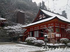 念願!! 雪の談山神社