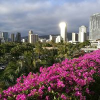 ハネムーンでハワイ島→オアフ島8泊10日　4日目　トランプタワー到着編