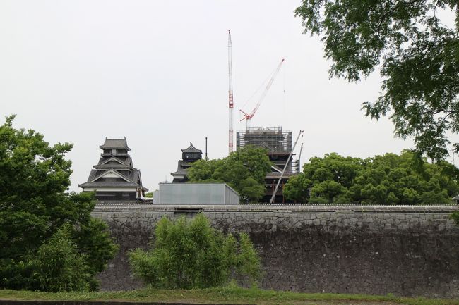 熊本の旅、3日目、午後、最後は、熊本城と水前寺公園を見て、空港に戻ります。<br />夕食は熊本ラーメンを空港でいただきました。<br />熊本城は、修復中で、まだまだ工事は続きそうです。石垣の修復は大変そうです。<br />城内には、崩れた石垣が並べられていました。崩れたままの石垣もあります。<br />修復が待ち遠しいです。。。。。<br />