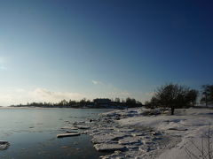 3度目のフィンランド #5  ヘルシンキ④ Amos Rex Museum（建設中）、Helsinki Central Library（建設中）、Kaivo Puisto、Allas Sea Pool、Restaurant Chapter　