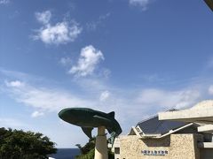 美ら海水族館へＧＯ