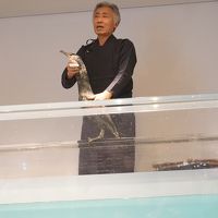 岐阜は織田信長が名付けた濃尾平野の都市☆岐阜グランドホテル泊☆長良川鵜飼ミュージアムで水槽実演をみる