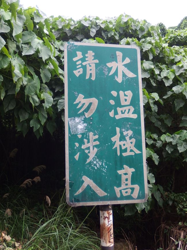 台北は何度も行った、ちび子とも行った。<br />しかし!一応若い娘との二人旅は、<br />危険回避に気を遣うことが判明。<br />タクシーひとつ乗るのも、<br />夜遅く町を歩くのも<br />結構ドキドキしましたよん。<br /><br />今回はたまたま見つけた全日空のやや安チケット+格安ホテルで<br />台北で食べたり、買ったり、好きな場所へ行ってきました。<br />難しい人ぬきの旅は、たのしい!<br /><br />まずは準備~1日目<br />自宅→羽田空港→台北松山空港→ホテル経由→新北投周辺→淡水→ホテル→双城街夜市→ホテル<br /><br />