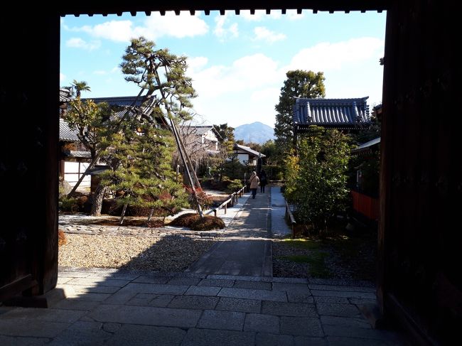 どこに案内されるか分からないミステリーツアー<br /><br />タイトルは完全に土曜ワイド劇場のパクり…<br /><br />4トラ京都通molmさんプロデュースで半日弾丸京都決行!<br /><br />(本当は秘密のキョウトミンSHOW とセンスのないタイトルも考えておりましたが、あまりにセンスなさ過ぎて却下)<br /><br />ただの観光客にはよもやたどり着きもできない京都在住者による京都案内です<br /><br />リクエスト項目:寺社+老舗店 という要望と時間の制約を見事に叶えていただいたルート(レンタカー使用)<br />今回の一番の目玉は、トップ画像の比叡山が目の前に美しく見える額縁門