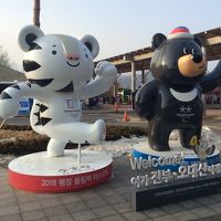 平昌オリンピック観戦記  2018 スノーボードスロープスタイル予選