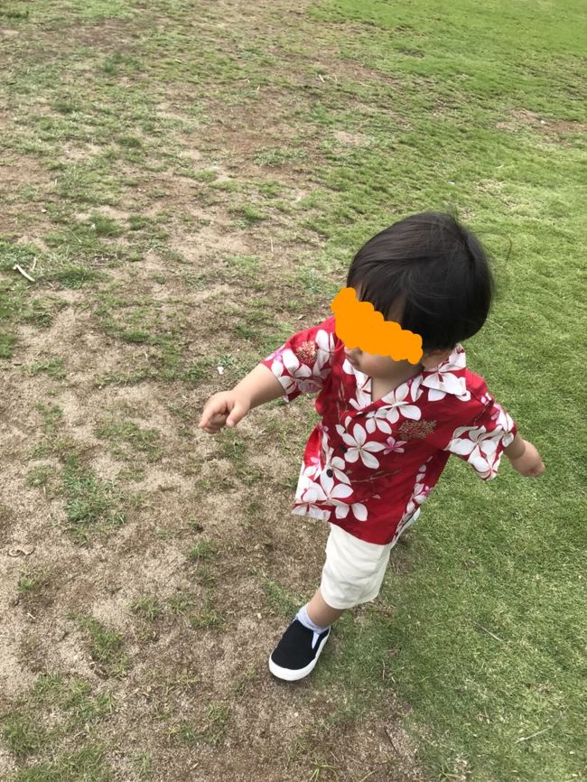学生時代の友達がハワイで結婚式を挙げるというので便乗して家族4人で行ってきました。<br />男の子2人(3歳7ヶ月、1歳5ヶ月)連れてはじめての海外旅行。<br /><br />出発前にここで色々調べてから行きました。<br />これから行く人に少しでも参考になればいいなーと思ってます。<br />あと次ハワイ行くときの為に失敗したこととかも色々書いてみます。<br /><br />宜しくお願いいたします。