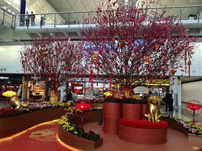 2ヶ月ぶりの香港。<br />街中はすっかりクリスマスから春節モードに♪<br /><br />また途中フェイドアウトするかもしれないけど、応援してくれている方々の為にも、自分を信じて頑張ります!(オリンピックか!笑)