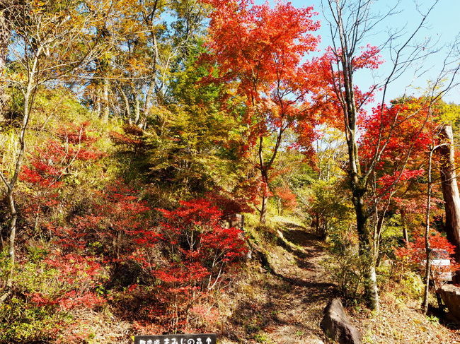 2016年11月、黒川温泉へ行った際、入湯手形で湯めぐりを楽しみました。<br /><br />最初に利用した山みず木の後、2件目は帆山亭の露天風呂“仙女の湯“を利用しました。<br />露天風呂から上がり、帆山亭の敷地内（庭園・もみじの森）を散策してまわりました。