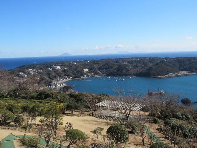 2月7日、午後1時15分のロープウエイに乗り寝姿山へ向かいました。寝姿山へは初めての訪問ですが、山頂からの下田港や相模湾等の展望は素晴らしいということで期待しました。　約一時間くらいの山頂付近の散策でしたが絶景の連続でした。カンザクラやハボタン、プリムラ.キブサスイセンが見られ、カンザクラにはメジロが沢山飛来していて正に春を感じました。<br /><br /><br /><br />*写真は寝姿山から見られる絶景・・下田港と遠くに相模湾に利島、新島、式根島等が見られる