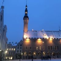 のんびりじっくり第3弾＋成り行き第2弾　厳冬の ヘルシンキとタリン②