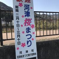 河津桜に会えるかな、バスの旅