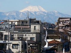 大山街道を歩く　（二子玉川～宮前平）