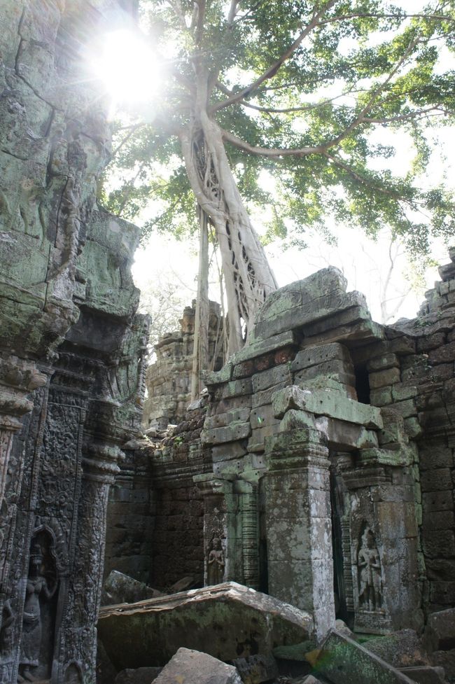 地雷博物館の後はバンテアイ・スレイ、タ・プロームと周り一旦ホテルへ帰ってシャワーを浴び、トンレサップ湖へのオプショナルツアーへ出ました。<br />湖での夕日を見る前にオールドマーケット散策です。<br /><br />　1/1 11:00発 TG 623<br />　　　関空→バンコク16:00着<br />　　　18:25発 TG2590<br />　　　バンコク→シェムリアップ<br />　　　19:45着<br />　1/2 アンコール・ワット等<br />→1/3 タ・プローム、<br />　　　トレンサップ湖<br />　1/4 バンティ・アスレイ他<br />　　　20:45発 TG2591<br />　　　シェムリアップ→バンコク<br />　　　21:55着<br />　1/5 ワット・プラケーオ他<br />　1/6 水上マーケット、アユタヤ<br />　1/7 国立博物館、マッサージ<br />　1/8 8:00発 TG672<br />　　　バンコク→関空 15:00着