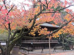 ２０１６年秋　東京　上野　美術館展と上野公園周辺の散歩