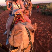 メルボルン→ウルル夫婦旅行5日目（Uluru Camel Sunset）