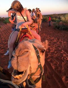 メルボルン→ウルル夫婦旅行5日目（Uluru Camel Sunset）