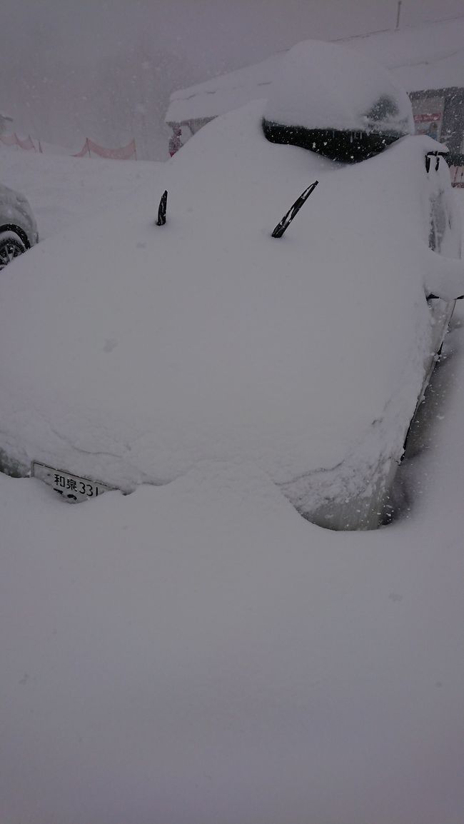 ここ数年、雪に恵まれない状況でしたが、本日は降りすぎの大雪でした。