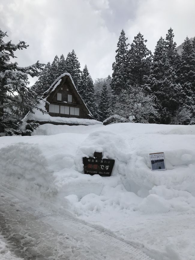 一昨年から、4トラベルの地図を塗りたくて、行ったことのない県へ旅しています！<br />今回は富山県へ。<br /><br />今年の冬の北陸は記録的な大雪で、あまり雪に慣れていない東京人には、見るもの全てが驚きでした。