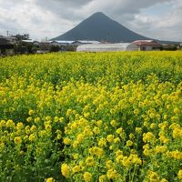 薩摩・明治村　美味し薩摩の味と早春の長崎鼻・指宿温泉をぶらぶら歩き旅ー１