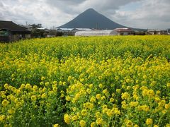 薩摩・明治村　美味し薩摩の味と早春の長崎鼻・指宿温泉をぶらぶら歩き旅ー１