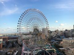 孫と2人で 横浜旅行  大観覧車とビューバス