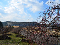 小笠山総合運動公園・エコパ周辺を歩いて来ました 2017.02.17