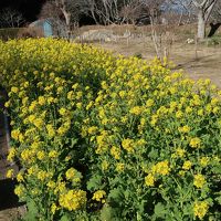 春を探しに南房総１泊２日2018