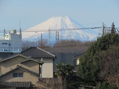 久しぶりにふじみ野市より見られた素晴らしい富士山