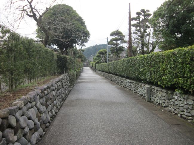 今回楽しみにしていた「出水麓武家屋敷群」～、約４００年前の町の面影を今に残す旧薩摩藩最大の武家屋敷群。<br /><br />江戸時代に薩摩藩の地方支配の拠点として栄えた「外城」、その外城とは政務や地方警護を担う武士住居と陣地を兼ねた町を「麓」と呼ばれ、藩内には１００箇所も存在したようですが、出水は肥後国との境に近い為、防衛上最も重要な地であったので、藩内で最初に築かれた最大規模の麓。<br />今は国の「重要伝統的建造物群保存地区」に選定されているようです。<br /><br />実際に歩くと、当時からの区割りや街路に石垣や生垣が残り、その面影を感じ取ることが出来ます。<br />そして、何よりも住民の方々が普通に生活をされていることが実に素晴らしいことだと思いますね。<br /><br />今回、特に竹添邸・税所邸・歴史観で説明をしていただいた地元の方々が印象的で心に残りました。<br />「つくずく鹿児島に来ているんだなぁ！」～と、旅人に思わせる郷土への愛着が伝わって来るのです。<br />まさに西郷どんの”敬天愛人”でしょうか？～。<br /><br />鹿児島は温泉も食材も風景も、そして人も実に好いところですが、次回はちょっと変わった試みとして”偉人”を巡るぶらぶら歩き暇つぶしをやってみたいです。<br />もちろん西郷どんや大久保どんも好いですが、個人的には黒田どん（黒田了介）の大ファンなので、その生い立ちや足跡を辿りたいです！。