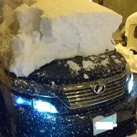 2018年　北海道　さっぽろ雪祭り　＆　雪あかりの路（6日目）　帰路編Part2