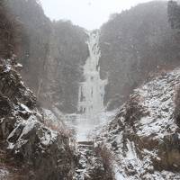 マイルで熊本旅行（後編）　阿蘇・福岡編