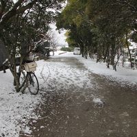 雨と雪の九州