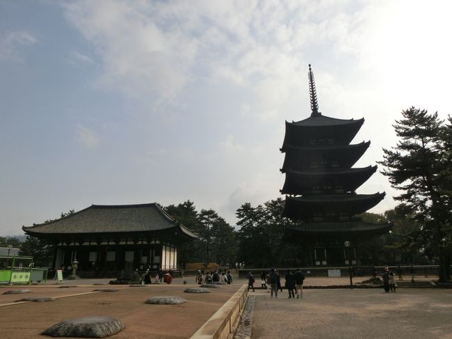 興福寺は藤原氏の氏寺として710年に平城遷都とともに建立されました。<br />国宝や重要文化財に指定されている建築物や仏像等見所がたくさんあります。<br />境内の眺めは奈良という雰囲気を感じることができますよ。<br />興福寺には過去何度も訪れましたが国宝館がリニューアルオープンしましたので行くことにしました。