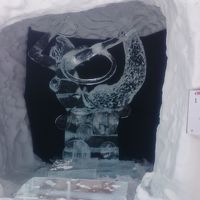 栃木県 奥日光で雪見露天風呂と素敵な夜 (6-3) 氷彫刻大会を見学