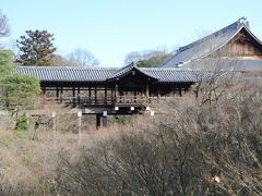 東福寺と京都博物館