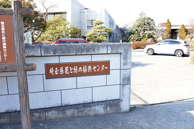 あたたかい春の陽射しに誘われて植木の町、川口市安行にある「花と植物の振興センター」に出かけました。<br />花や植木に興味ある方にはぜひお勧めの植物園です。訪れた今日は丁度梅の開花時期に当たり、とにかく多品種の梅が開花を迎えていました。さすがに植木の町だけに多くの木々や花が植えられて四季折々の植物が楽しめます。<br /><br /><br />埼玉県農林部 「花と緑の振興センター」<br />〒334-0059川口市安行1015電話番号：048-295-1806<br />http://www.pref.saitama.lg.jp/hana-midori/index.html<br />