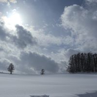 冬の北海道　美瑛の旅