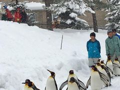 さっぽろ雪まつりと北海道７つの冬物語②　旭山動物園～旭川冬まつり～層雲峡氷瀑まつり