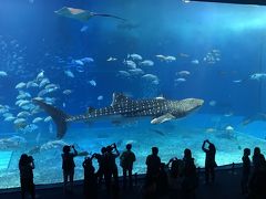 ２０１８年一人で行く冬の沖縄２日間～美ら海水族館・ホエールウォッチング～