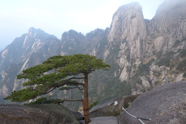 4度目の上海。今回は上海から新幹線に乗って4時間の黄山へ行きました。<br /><br />