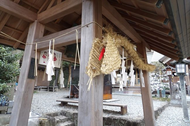 　専念寺の裏山には新羽小と新羽中がある。新羽小の銅像横の桜の木に注連縄（しめなわ）が張られているではないか？正門のインターホンには副校長名で貼紙がある。要件を伝えると女性が出て来た。副校長なのだろう。「桜の木に注連縄が張られていますが、何か由緒のある桜の木なのですか？」「注連縄ではなく注連引（しめびき）の藁蛇（わらへび）です。」神社のように御神木として注連縄を張ったら日教組の職員が黙ってはおるまい。「私は赴任して2年目などで良くは分からないのですが、新羽中の正門にもあります。」と言って中学校へ案内された。そこには「注連引百万遍保存会」が平成29年（2017年）に設けた看板があった。それによると、新羽郷の中之久保には「注連引（しめびき）百万遍の藁蛇（わらへび）」という行事があるのだという。これは230年前に天明の大飢饉（天明2年（1782年）～天明8年（1788年））が起こり、新羽郷の中之久保に疫病が流行した。ここを通りかかった旅の行者から藁で作った大きな蛇を村の3つの出入口の柊（ひいらぎ）の木に巻き付けて疫病から村を守ることを教わったと伝えられている。<br />　新羽十字路脇に鎮座する新羽杉山神社の手水舎にも注連引百万遍の藁蛇が巻かれている。注連引百万遍保存会が藁蛇を持って来て4年前から手水舎に巻くようにしているのだという。杉山神社の藁蛇は真新しいものだが、新羽小と新羽中の藁蛇は古く見える。いくら夜露に濡れるといっても秋以降に取り替えたのであれば最新しそうに見えるだろう。しかし、新羽中正門前の看板は平成29年（2017年）に設置されたものであることからも分かるが近年になって藁蛇を作ることが復活したようだ。かつては田圃だったところは道路が真っ直ぐになり町になっている。藁が手に入らなくなってこの行事が途絶えていたようだ。でも最近では小学生も藁蛇作りを行っているのだという。<br />　横浜市内とはいえ田舎のここ新羽に230年前からの伝統行事が復活したことは喜ばしいことだ。<br />　蛇足ではあるが、新潟県岩船郡関川村では8月下旬に「大したもん蛇まつり」が行われ、ギネスに載るほどの竹と藁で作った大蛇が練り歩く。これは日本海に注ぐ荒川の支流に女川（おんながわ）があり、この流域は関川村女川地区で、蛇喰（じゃばみ）という集落もある。半世紀余り前には、国道290号線の桃川峠を越えた桃川集落からお嫁に来た祖母から良く昔話を聞かされたものだ。<br />　「蛇喰という村があり、忠蔵とおりのという夫婦、そしてその娘が住んでいました。忠蔵の仕事は炭焼きで、仕事場の阿古屋谷には大蛇がいるといううわさがありました。<br />　ある日、忠蔵がお昼ごはんのあとにうたた寝をしていると、みょうな物音がしました。見ると、大蛇がそばまで迫ってきています。忠蔵はマサカリをつかみ、大きな口をあけた大蛇と必死の思いでたたかい、なんとかしとめました。忠蔵はその大蛇をみそ漬けにすることに決め、てきとうな大きさに切って家に持ち帰りました。そして樽に入れてみそ漬けにしたのです。樽は合計で13個半になりました。忠蔵はおりのと娘に「樽の中は決して見てはいけないよ」と言いましたが、何日かして、おりのは「少しのぞいて見るだけ」と樽を開けてしまいました。そしてみそ漬けの肉を見て「おいしそう」と思い、1つを食べてしまいました。そのあまりのおいしさにあと1つ、もう1つと次々に食べ続け、しまいにはすべてをたいらげてしまいました。それでのどがかわいたおりのは、女川の水を飲み始めました。そのとたん、おりのは水面にうつる自分の顔を見ておどろきました。なんと、大蛇の姿になっていたのです。…」（http://www.hrr.mlit.go.jp/iide/iide/story03.html）。<br />　女川も蛇喰もこの昔話に関わる地名であり、この昔話からヒントを得て竹や藁で大蛇を作って練り歩く「大したもん蛇まつり」が生まれたのであろう。<br />　一方、新羽郷中之久保の「注連引百万遍の藁蛇」には鶴見川を舞台にした大蛇伝説はない。しかし、横浜市戸塚区影取町にも大蛇の伝説が残る影取池があった。<br />（表紙写真は新羽杉山神社の注連引百万遍の藁蛇）