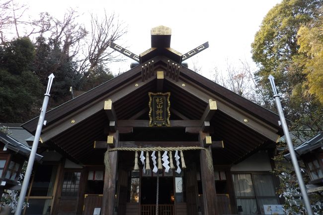 　横浜市港北区新羽町に鎮座する杉山神社は新羽総鎮守である。祭神は日本武尊（やまとたけるのみこと）、火産霊神（ひむすびのかみ）、澳津彦神（おきつひこのかみ）、伊弉冊命（いざなみのみこと）、速玉男命（はやたまおのみこと）、事解男命（ことさかのおのみこと）、天照皇大神（あまてらすすめおおみかみ）の7柱である。祭神の柱数が多いのは明治41年（1908年）に村内の荒神社、熊野社、太神宮の3社を合祀したからである。<br />　鶴見川流域には杉山神社が多く鎮座しているが、日本武尊を主神とする杉山神社と大黒様を主神とする杉山神社があるのだという。しかし、古文書が残っていないために、杉山神社の創生は不詳である。<br />　手水舎に巻かれているのは「注連引（しめびき）百万遍の藁蛇（わらへび）」ではないかと思い、社務所の呼び鈴を押すとおばあさんが出て来て違うことをいう。「え、それは本当ですか？」とさらに尋ねると神主が応じてくれた。4年前に「注連引百万遍の藁蛇」が持ち込めれたが、神主はその由緒を知らないのだという。私が新羽中の校門前にある看板の内容を伝えると納得していた。<br />　神主の話では全国に神社が8万社があるが、神職は2万人しかおらず、多くは神主が兼務しているのだという。大きな神社には多くの神職がいるから、1人の神主が4社、5社の神主を兼務しているということのようだ。鎌倉の神社を巡ると神主が居ない神社の多いこと。それを裏付ける話だ。<br />（表紙写真は杉山神社の社殿）