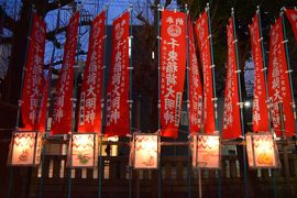 時々シリーズ　神社仏閣・御朱印の旅⑦　ー亀戸近辺初午祭・梅まつり限定御朱印事情 と 亀戸梅開花情報編