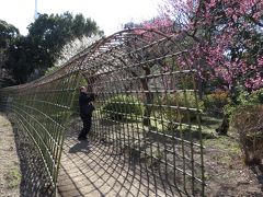 東京墨田区散策・・江戸の花園、梅花かおる向島百花園をめぐります。