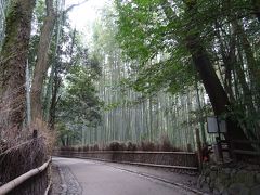 京都の世界遺産巡り　二条城　天龍寺　苔寺