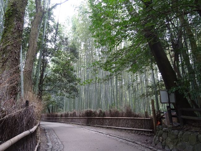 京都の世界遺産１７箇所を巡るのが目標<br />年に一回しか行けないので、一体何年かかるのでしょうか（笑）<br />今までに一度も行ったところのない所を先にまわる予定です<br /><br />２０１７年４月　２回目スタート<br />行き：新千歳空港⇒神戸空港<br />午後から上賀茂神社・下鴨神社の後歩けそうなので<br />京都御所・二条城に向かう<br />